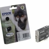 Zásobník Epson T0891, C13T08914011 - originální (Černý)