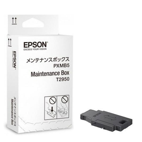 Levně Epson C13T295000 - originální