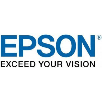 Epson T6713 - originální