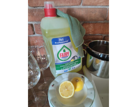 Fairy Lemon na nádobí 5l (DE)