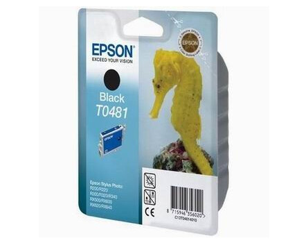 Zásobník Epson T0481, C13T04814010 (Černý)